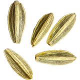 Aniseed