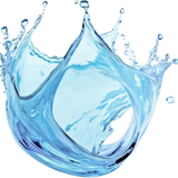 Aquatic Notes