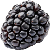 Blackberry