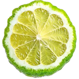  Calabrian bergamot