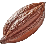 Cocoa
