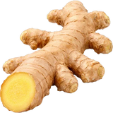 Ginger