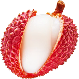 Litchi
