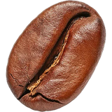 Roasted Coffee