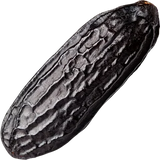 Tonka Bean Absolute