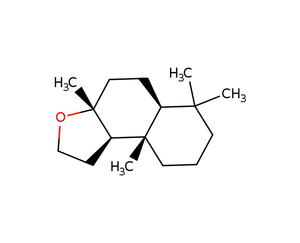 Base Notes